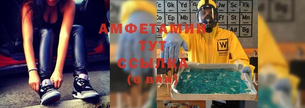 прущие грибы Балахна