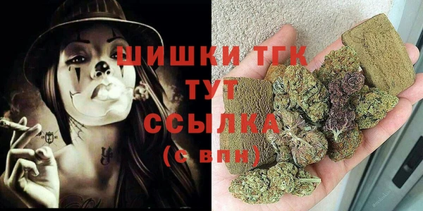 прущие грибы Балахна