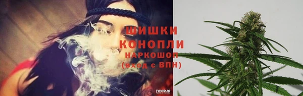 прущие крисы Беломорск