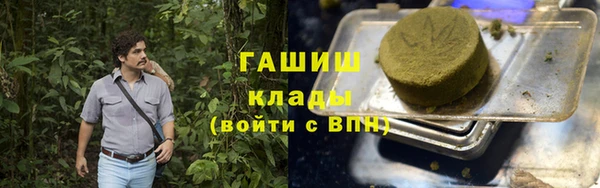 прущие грибы Балахна