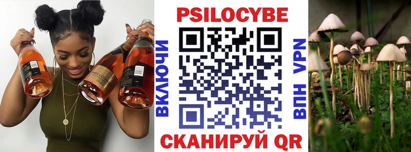 MEGA ссылка  наркотики  Верещагино  Галлюциногенные грибы MAGIC MUSHROOMS 